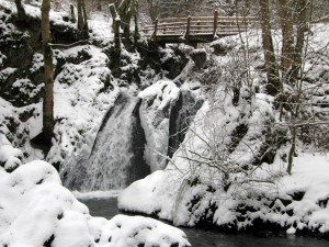 Die „Rausch“, ein Wasserfall in der Nähe des Klosters Maria Martental.