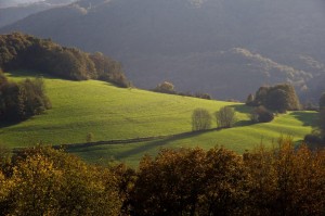Schöner Westerwald