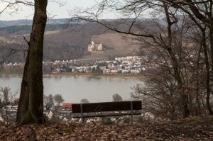 Blick in das Rheintal